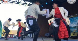 amigos de la cueca los rios 2019 023