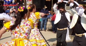 LOS-DOMINICOS-006