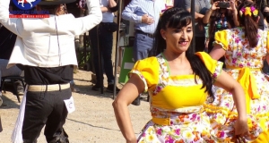 LOS-DOMINICOS-011