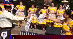 LOS-DOMINICOS-019